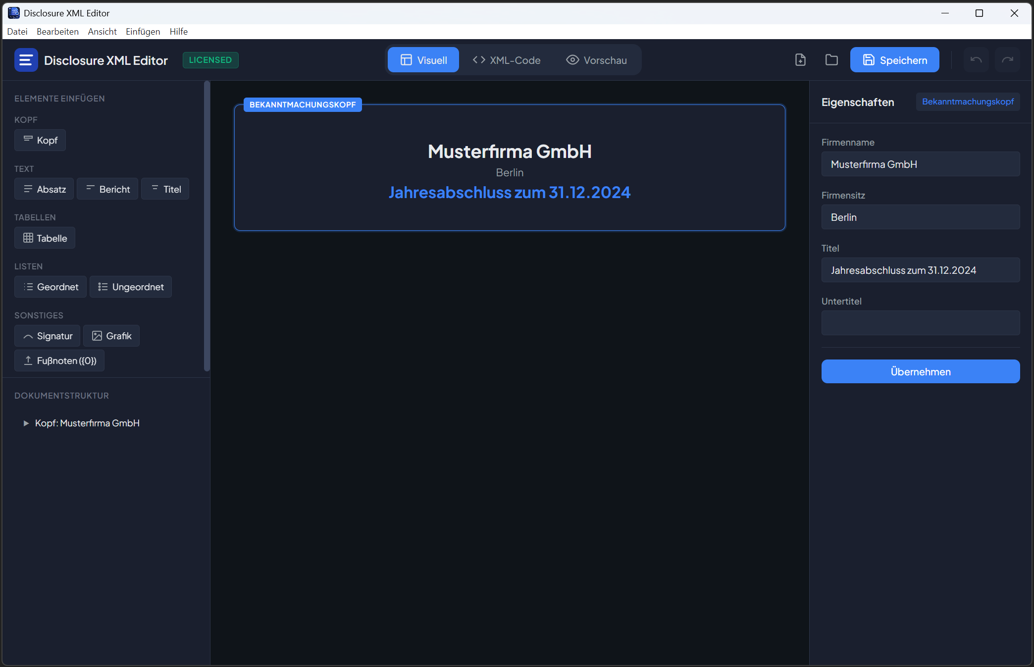 Disclosure XML Editor Screenshot